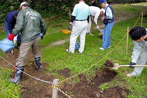 お礼肥 作業の報告 サクラサク里 プロジェクト