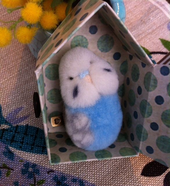 羊毛フェルト インコちゃん オーダー 問い合わせページ 羊毛フェルト インコちゃん オーダー 問い合わせページ