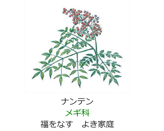 12月27日の誕生日の花と花言葉 ナンテン 元気シニアの呑気日記
