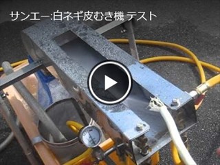 白ネギ皮むき機 テスト その2 : 株式会社 サンエー