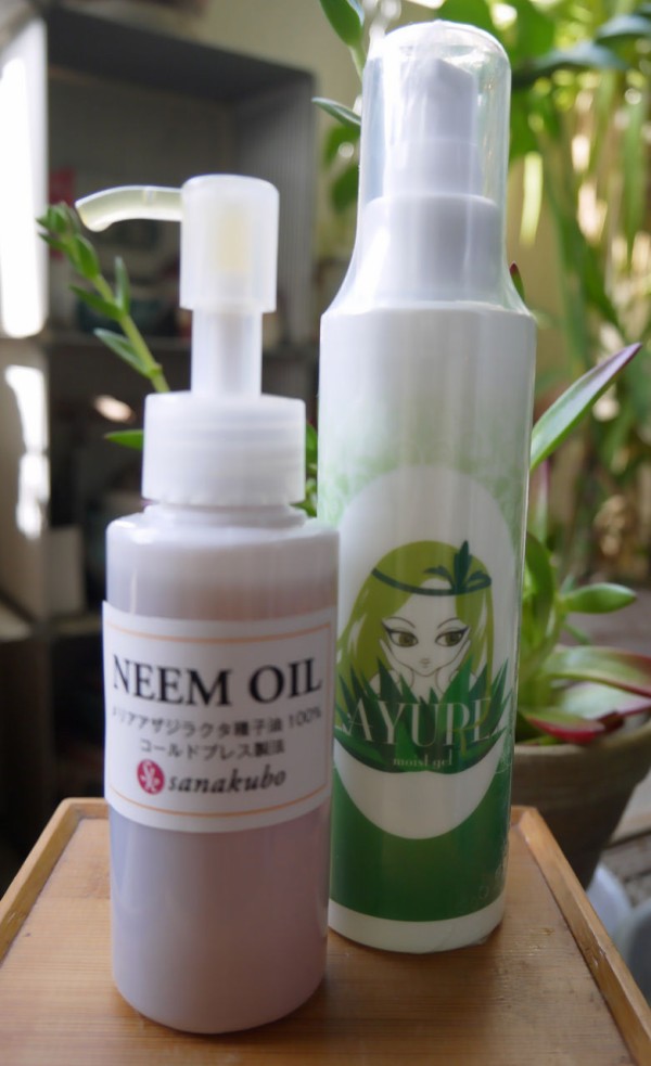 虫除けに効果発揮 ニームパウダー ニームオイル Keiko Kubo