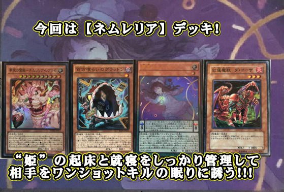 楽しく闘うデッキ紹介 遊戯王 ダ・イーザ ネムレリア「美女と