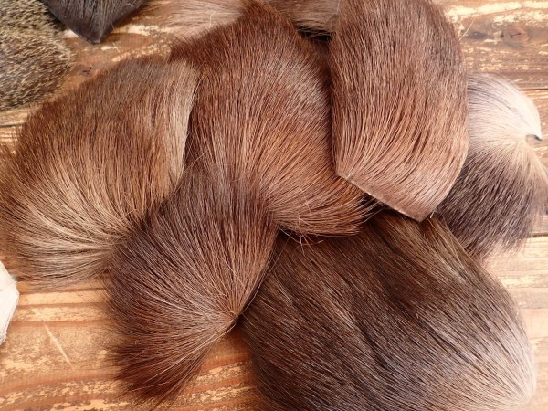 エゾシカ 冬毛 ナチュラルとダイド 販売 Hokkaido deer hair for fly