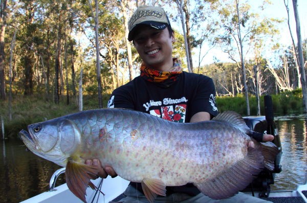 オーストラリア釣行記2015Febその９ ～サラトガと管理釣り場のバラマンデイ～ : Lodge Lucky Field ロッジラッキーフィールド