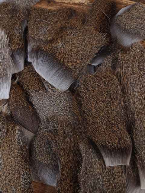 エゾシカの毛とヒグマの毛の販売 : Lodge Lucky Field ロッジ