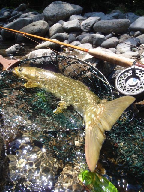 B62-192 北海道のつり 1998/1 岩場を狙え 海のアメマス - 釣り