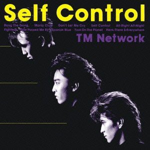 TM NETWORK レコード　② 美品 TM NETWORK レコード ② 美品