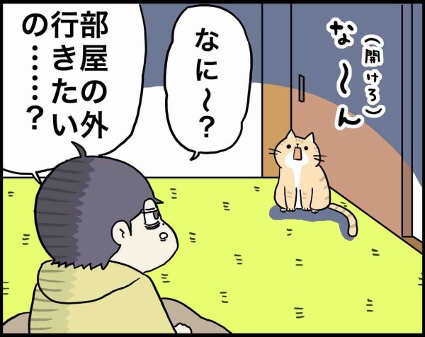 猫が夜泣きする理由の日々 さといもな日々 Powered By ライブドアブログ