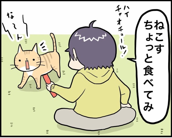 ウチの猫がチャオチュール中毒すぎてまずい : さといもな日々 Powered 