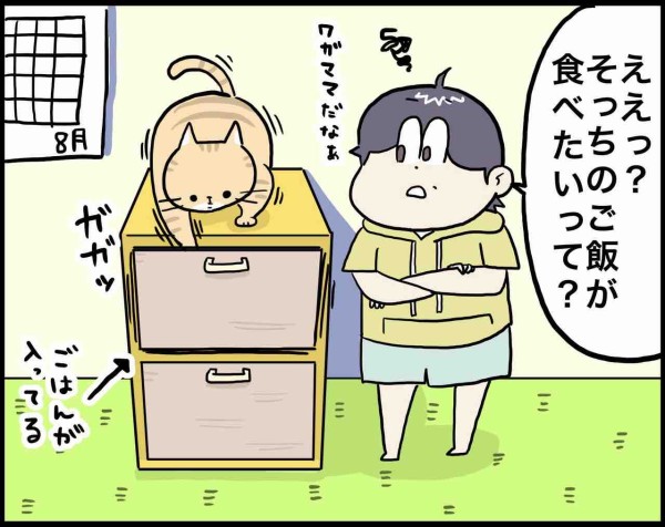 頑固者な猫の日々 : さといもな日々 Powered by ライブドアブログ