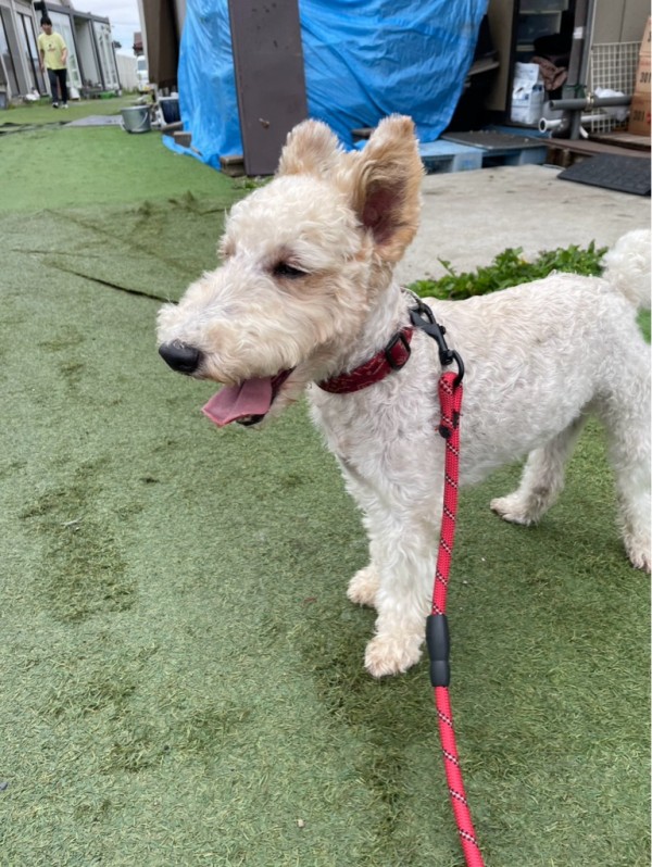 今日も皆様朝からありがとうございます。 : NPO法人ペット里親会