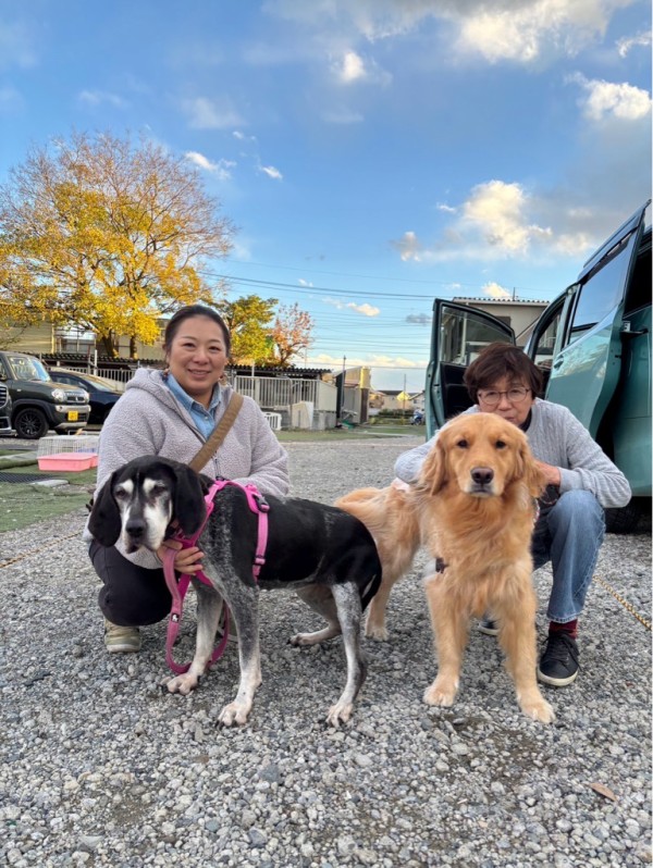 ゴールデンズ 長野県からノアちゃん🐶こんにちは💓 : NPO法人ペット里親会