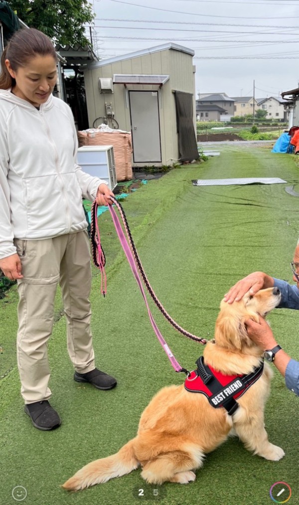 ゴールデンのエマちゃん、トライアルに行きました👌💗👌 : NPO法人