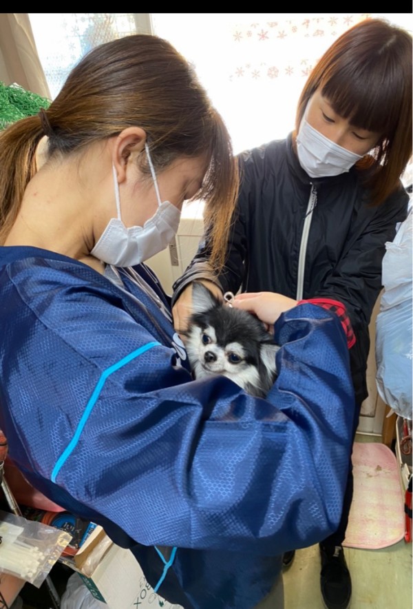 りゅうくんと ふうちゃんがトライアルに🐶🐶💓 : NPO法人ペット里親会