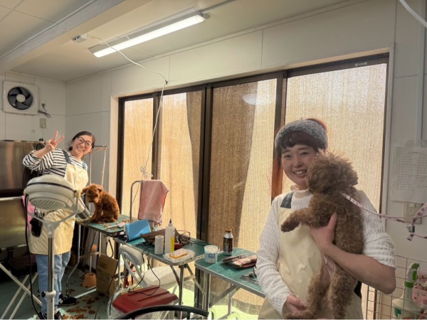 昨日はケビンのママさんがトリミングに来て下さいました。🐶🌸🐶 : NPO