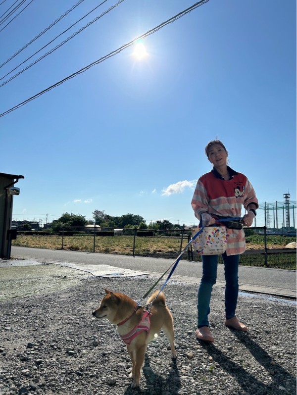 今日は久しぶりの青空です🩵💙🩵 : NPO法人ペット里親会