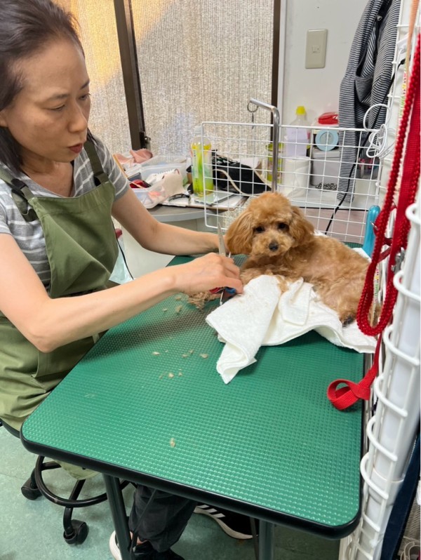 今日も皆様有難うございました🙏🙏🙏💓 : NPO法人ペット里親会