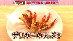 東方 人魚を飼おう 東方おねえちゃんまとめ