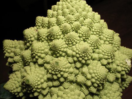 フラクタルな新お野菜 カリブロ Satoyanのうちごはん