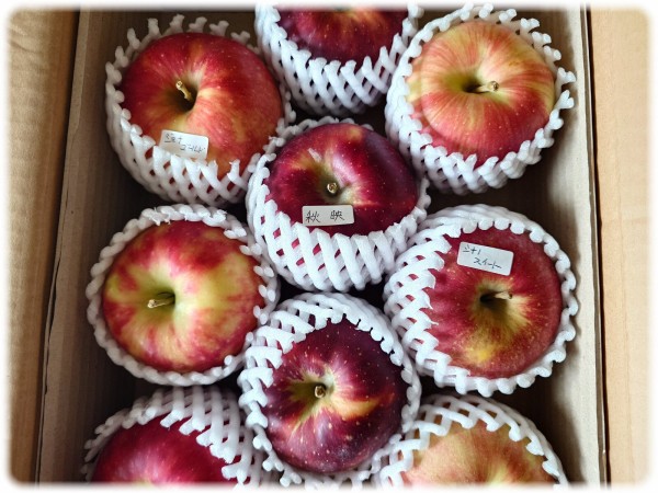 茨城県久慈郡大子町『石井りんご園』からリンゴをお取り寄せ