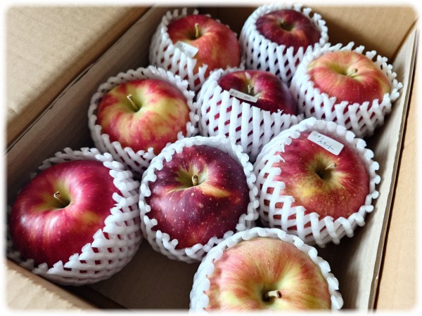 茨城県久慈郡大子町『石井りんご園』からリンゴをお取り寄せ