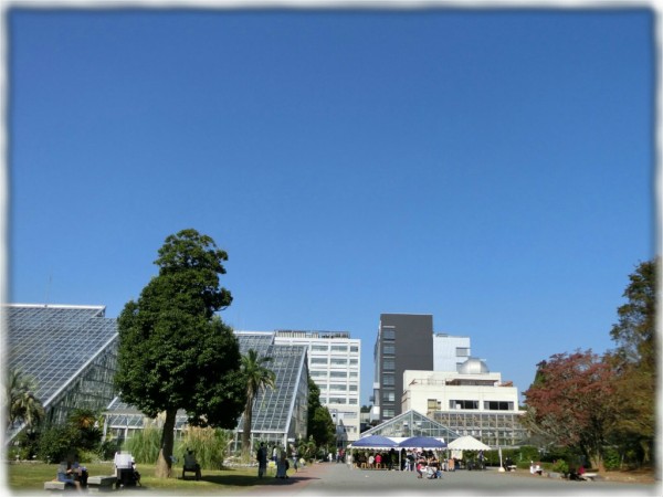 写真多用 茨城県つくば市 国立科学博物館 筑波実験植物園 で本日開催の きのこ展14 が異様な人気で驚いた ｓａｖａ