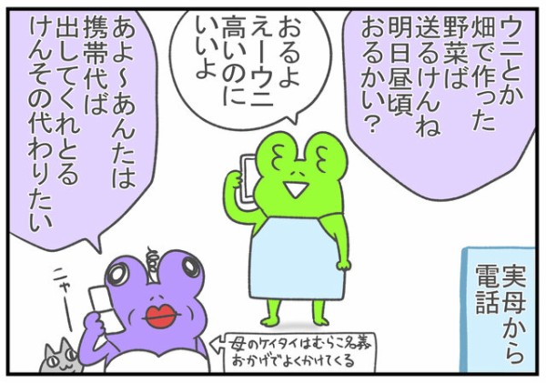 実母から送られてきた物 むらこの４コマブログ Powered By ライブドアブログ
