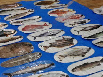 さかな釣り 玄界灘 ヒラメ 大漁だあ さわやかダイアリー