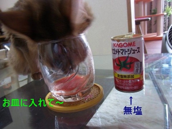 トマトジュースが好きな猫 ニャンたって猫が好き