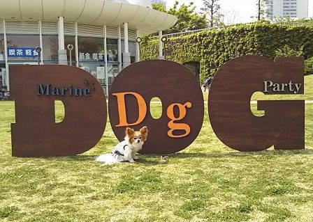 アニコム健康相談in臨港パーク ころんのかほり