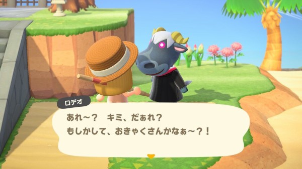 人気 あつ森 ロデオ