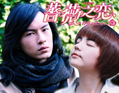 薔薇之恋 薔薇のために 台湾ドラマの傑作と言われているそうです Scarlet1のブログ 本 映画 ドラマ ときどき韓流