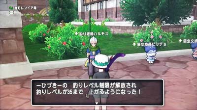 釣りレベル上限解放 クエストno 468 釣り道の 高みを目指して ひづきのもっさりドラクエ10ブログ