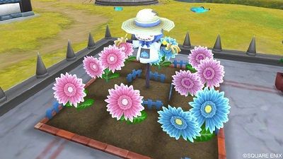 畑 新しいタネから咲くガーベラの花たち ひづきのもっさりドラクエ10ブログ