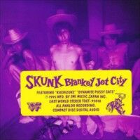 激レア★BLANKEY JET CITY SKUNK 初期レコード　美USED 激レア☆BLANKEY JET CITY SKUNK 初期レコード 美USED BLANKEY