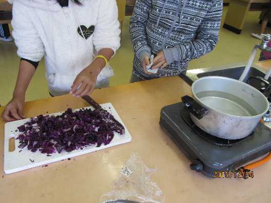 紫キャベツで液性を調べる 感想文６年生 夏自由研究 小学校理科教材ヒント