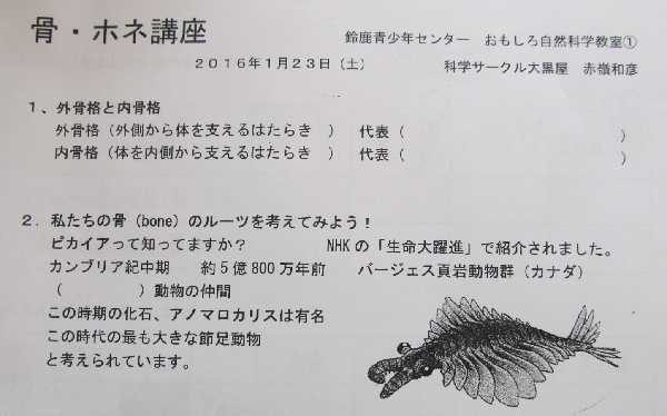 ホネ ホネ から人間の構造を学ぶ 小学校理科教材ヒント
