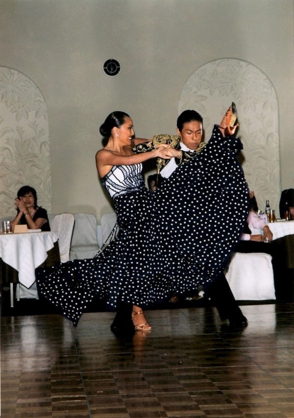 最終お値下げ 社交ダンス ドレス 最終お値下げ 社交ダンスドレス