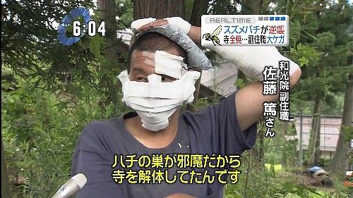 なんj民 スズメバチは世界最強 日本の誇り 閲覧注意 灰色ちゃんねる