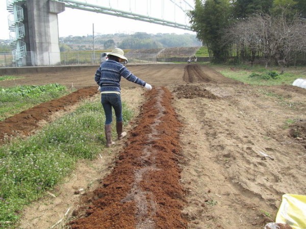 2月25日 畑作り 土作り 畑 始めます