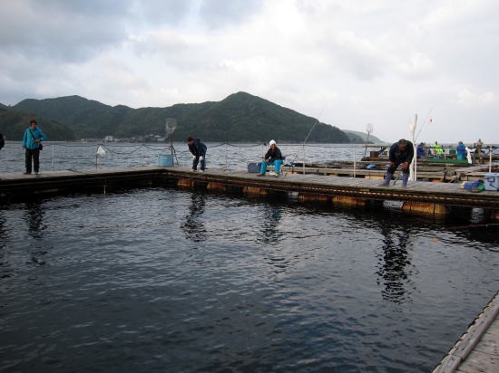 5月17日 和歌山由良海上釣堀ランドへ こっさんのブログ