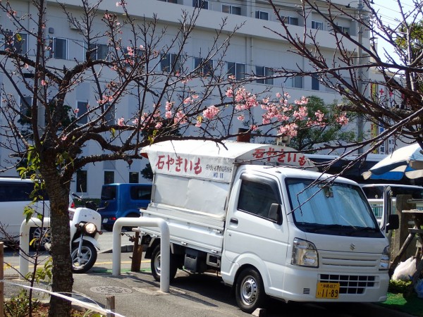 那覇では難しい 焼き芋の移動販売 ６０歳からの沖縄生活 With N