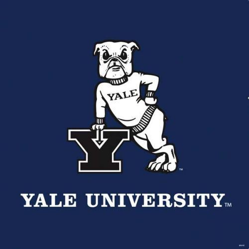 イェール大学 ハンサム・ダン ラバーフィギュア : SECRETBASE BLOG