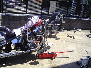 ｓｔｅｅｄ スティード ショートスプリンガーフォーク セイ生活