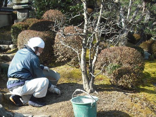 寒肥の季節です 京都の植木屋ブログ 庭木1本からおうちのリフォームまで