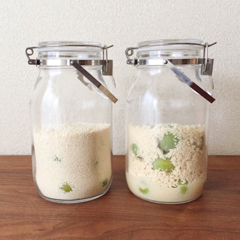 梅シロップにお酢を入れるｏｒ入れない 生活のメモ Powered By ライブドアブログ