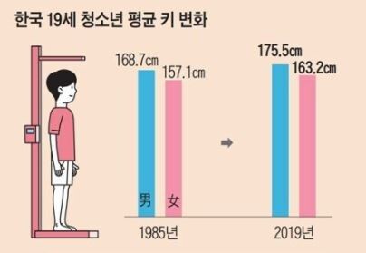 韓国人 韓国人の平均身長が175 5ｃｍ 東アジア最長身国家に 一方日本の平均身長はコチラ 韓国の反応 世界の憂鬱 海外 韓国の反応