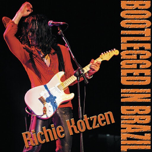 RICHIE KOTZEN TMG 各種CD他 Richie Kotzen / Electric Joy - Guitar Records