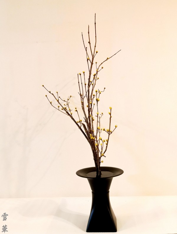 いけばな池坊展 東京都美術館 3/21(土)-30(月) : 雪華と、うふふ