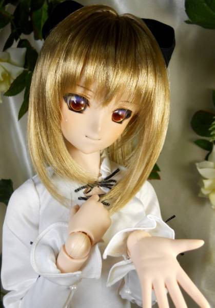 FIG]超先行予約特典付属 DD受注限定企画第2弾限定 Dollfie Dream